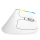Myszka Delux Mysz Pionowa M618C RGB (Biała)